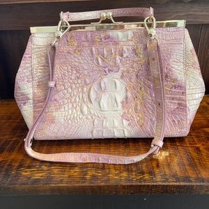 Beautiful pink Brahmin